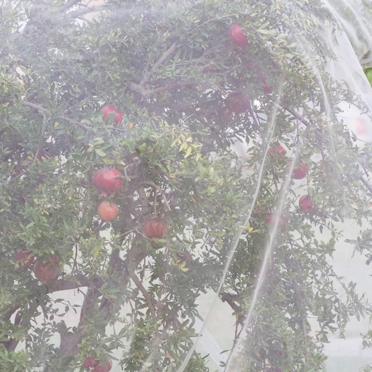 Garden Netting Bird Netting Protection Mesh Plant Cover Screen Vegetable Row Cover, Fruits Tree Flowers Garden Screen Barrier Net 10x33ft