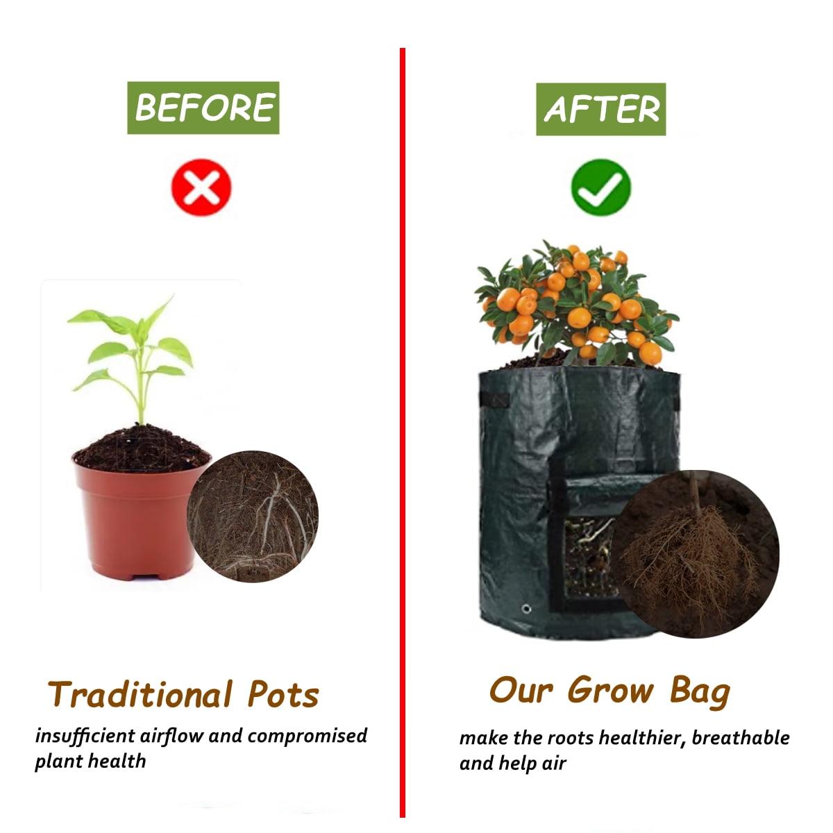 Garden Potato Grow Bags 10 Gallon Planting Bags Potato Planters with Flap and Handles Aeration Fabric Pots Heavy Duty 3 Pack